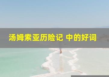 汤姆索亚历险记 中的好词